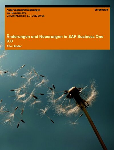 Ausblick auf SAP Business One 9.0