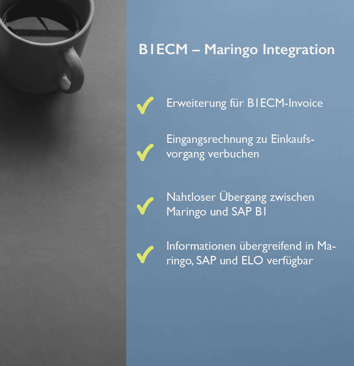 [Translate to German (Austria):] B1ECM Maringo Integration