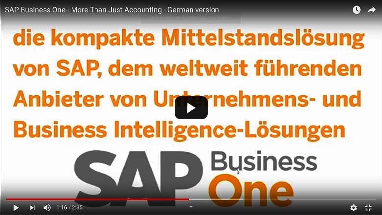 Buchaltung mit SAP Business One