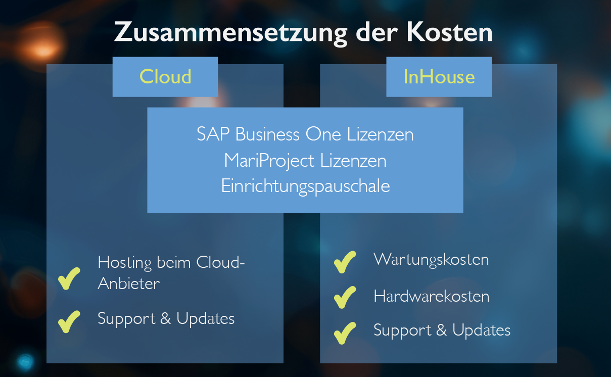  Kostenübersicht Projektmanagement MARIProject 
