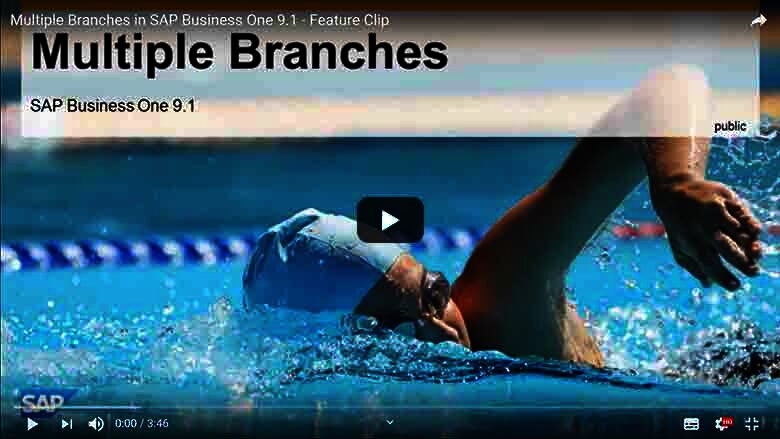 Mehreren Niederlassungen in SAP Business One 9.1