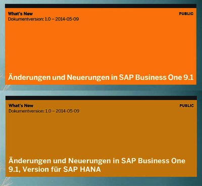 Neues in SAP Business One 9.1
