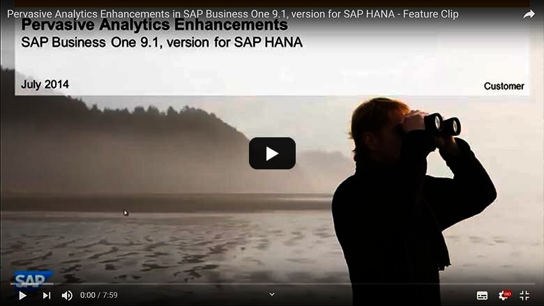 Pervasive Analytics Erweiterungen in SAP Business One 9.1, Version für SAP HANA