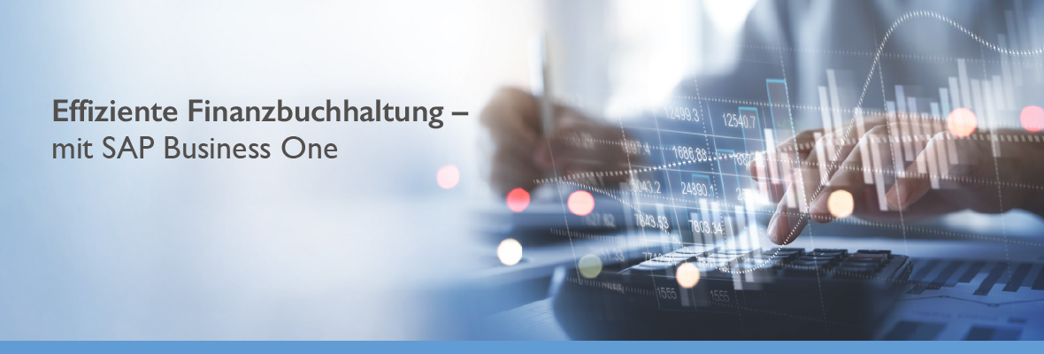 Effiziente Finanzbuchhaltung - mit SAP Business One