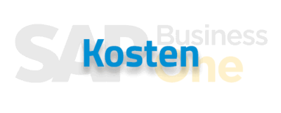 SAP Business One Kosten