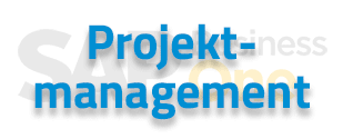 SAP B1 Lösungen zur Abbildung und Planung aller Projektphasen
