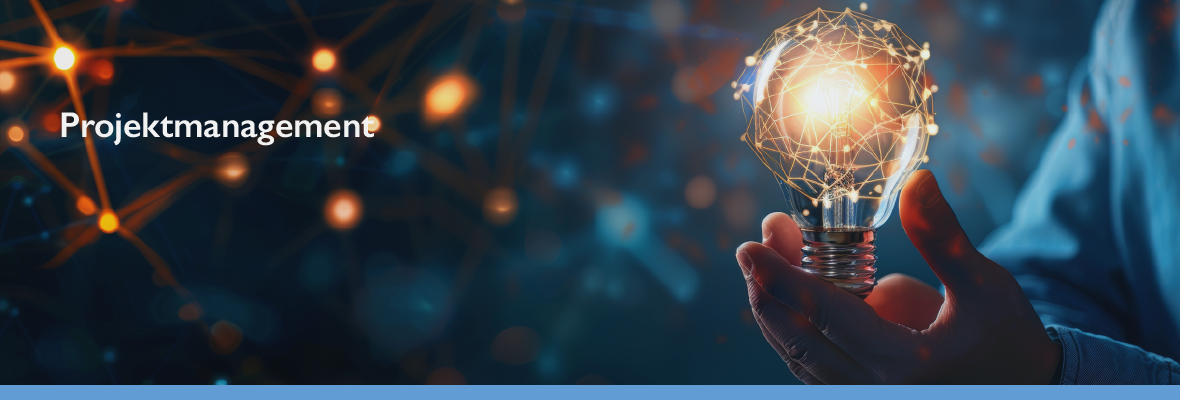 SAP Business One Projektmanagement