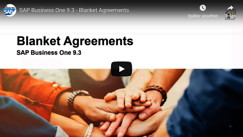 Rahmenverträge SAP Business One 9.3