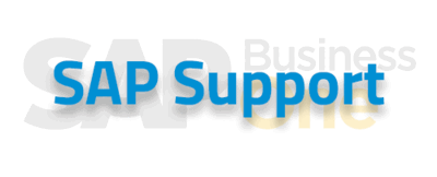 SAP B1 Support 