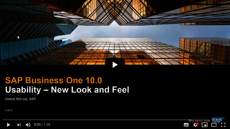 SBO Version 10.0 Webclient Overview